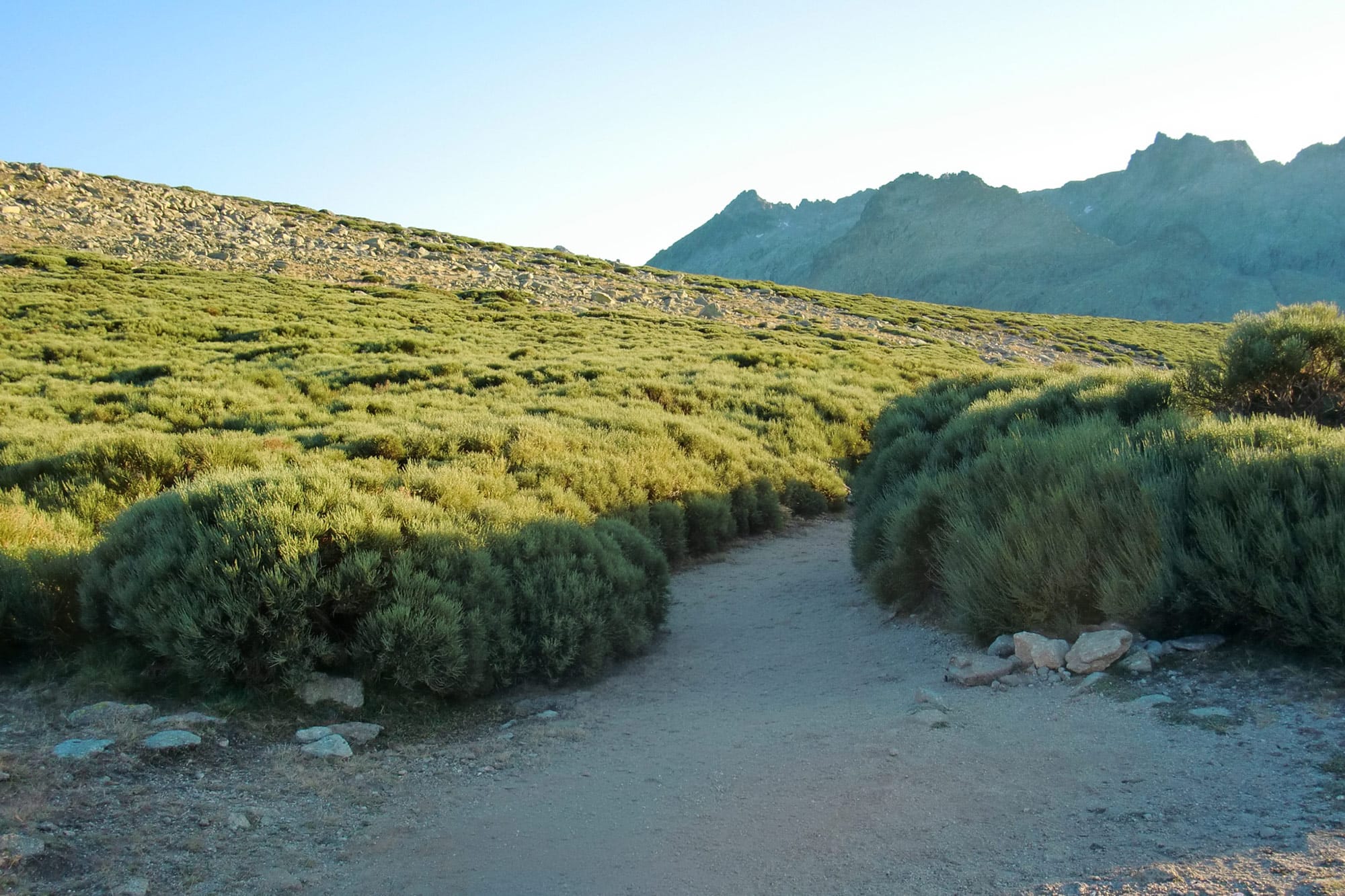 camino_hacia_laguna_grande_de_Gredos